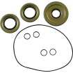 Στεγανοποίηση KT differential frt MOOSE RACING 25-2121-5 Στεγανοποίηση KT differential frt MOOSE RACING 25-2121-5 thumb