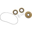 Στεγανοποίηση KT differential frt MOOSE RACING 25-2121-5 Στεγανοποίηση KT differential frt MOOSE RACING 25-2121-5 thumb