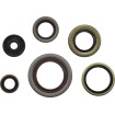 Σετ φλάντζες και τσιμούχες KTM MOOSE RACING 822348MSE thumb