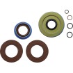 Στεγανοποίηση KT DIFFERENTIAL RR MOOSE RACING 25-2112-5 Στεγανοποίηση KT DIFFERENTIAL RR MOOSE RACING 25-2112-5 thumb