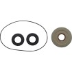 Στεγανοποίηση KT DIFFERENTIAL RR MOOSE RACING 25-2140-5 Στεγανοποίηση KT DIFFERENTIAL RR MOOSE RACING 25-2140-5 thumb