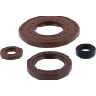 Σετ τσιμουχών MSE CANAM MSE MOOSE RACING 822002MSE Σετ τσιμουχών MSE CANAM MSE MOOSE RACING 822002MSE thumb