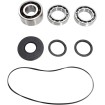 Σετ ρουλεμάν DIFF FT POL MOOSE RACING 25-2108 Σετ ρουλεμάν DIFF FT POL MOOSE RACING 25-2108 thumb
