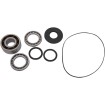 Σετ ρουλεμάν DIFF FT POL MOOSE RACING 25-2115 Σετ ρουλεμάν DIFF FT POL MOOSE RACING 25-2115 thumb