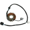 Στάτορας MOOSE RACING M-21-808H Στάτορας MOOSE RACING M-21-808H thumb
