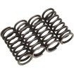 Ελατήρια Συμπλέκτη Offroad MOOSE RACING MHDS42-4 thumb