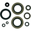 Σετ τσιμούχες MOOSE RACING 822104MSE Σετ τσιμούχες MOOSE RACING 822104MSE thumb