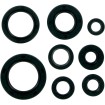 Σετ τσιμουχών MOOSE RACING 822106MSE Σετ τσιμουχών MOOSE RACING 822106MSE thumb