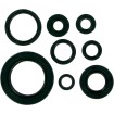 Σετ τσιμούχες MOOSE RACING 822111MSE Σετ τσιμούχες MOOSE RACING 822111MSE thumb