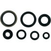 Σετ τσιμουχών MOOSE RACING 822124MSE thumb