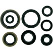 Σετ τσιμούχες MOOSE RACING 822125MSE Σετ τσιμούχες MOOSE RACING 822125MSE thumb