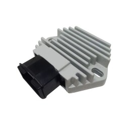 Ρυθμιστής APRILIA SXV ΑΛΛΑ 02355-0P Ρυθμιστής APRILIA SXV ΑΛΛΑ 02355-0P