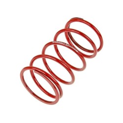 Ελατήριο TRQ SPORT +2000RPM ΑΛΛΑ NK900.65
