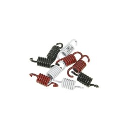 Σετ ελατηρίων συμπλέκτη SPORT ΑΛΛΑ NK900.43 Σετ ελατηρίων συμπλέκτη SPORT ΑΛΛΑ NK900.43
