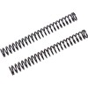 Σετ ελατηρίων FF 25.5/300/10.0-FKS508 ÖHLINS 08423-10