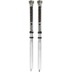 Σετ φυσιγγίων FKR 219 Suzuki GSX-R600 750 (Showa) ÖHLINS FKR 219 Σετ φυσιγγίων FKR 219 Suzuki GSX-R600 750 (Showa) ÖHLINS FKR 219 thumb