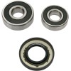 Σετ πίσω ρουλεμάν τροχού OEM replacement PIVOT WORKS PWRWK-H26-021