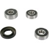 Σετ πίσω ρουλεμάν τροχού OEM replacement PIVOT WORKS PWRWK-K18-001
