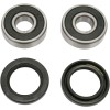 Σετ εμπρόσθιου ρουλεμάν τροχού OEM αντικατάσταση PIVOT WORKS PWFWK-H04-008