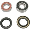 Σετ πίσω ρουλεμάν τροχού OEM replacement PIVOT WORKS PWRWK-H15-006