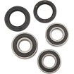 Σετ πίσω ρουλεμάν τροχού OEM replacement PIVOT WORKS PWRWK-S17-400 thumb