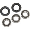 Σετ πίσω ρουλεμάν τροχού OEM replacement PIVOT WORKS PWRWK-Y06-421