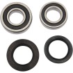 Σετ πίσω ρουλεμάν τροχού OEM replacement PIVOT WORKS PWRWK-Y08-421 Σετ πίσω ρουλεμάν τροχού OEM replacement PIVOT WORKS PWRWK-Y08-421 thumb
