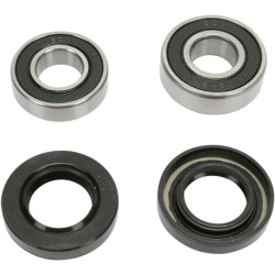 Σετ πίσω ρουλεμάν τροχού OEM replacement PIVOT WORKS PWRWK-Y25-008
