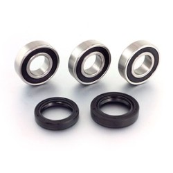 Σετ ρουλεμάν πίσω τροχού CR125/2 PROX 23.S112002