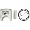 Σετ εμβόλου αλουμινίου 66.50MM +0.50MM PROX 01.2281.050