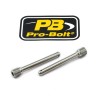 Δαγκάνα Φρένου PIN RR 2 TIT ΑΛΛΑ TIPINBP001-2Z2