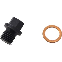 Βαλβίδα αποστράγγισης κινητήρα QUAD LOGIC 100-2389-PU Βαλβίδα αποστράγγισης κινητήρα QUAD LOGIC 100-2389-PU