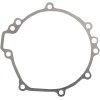Στεγανοποίηση καλύμματος στάτη RICK'S MOTORSPORT ELECTRICS 25-208