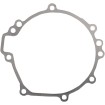 Στεγανοποίηση καλύμματος στάτη RICK'S MOTORSPORT ELECTRICS 25-208 Στεγανοποίηση καλύμματος στάτη RICK'S MOTORSPORT ELECTRICS 25-208 thumb