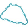 Στεγανοποίηση στάτορα TRIUMPH RICK'S MOTORSPORT ELECTRICS 25-005