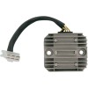 Ρυθμιστής OEM στυλ RICK'S MOTORSPORT ELECTRICS 10-302