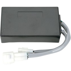 Κουτί CDI OEM στυλ RICK'S MOTORSPORT ELECTRICS 15-202