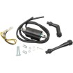 Πηνίο ανάφλεξης RICK'S MOTORSPORT ELECTRICS 23-102 Πηνίο ανάφλεξης RICK'S MOTORSPORT ELECTRICS 23-102 thumb