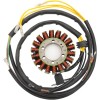 Στάτορας OEM στυλ RICK'S MOTORSPORT ELECTRICS 21-567