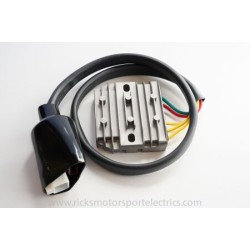 Ρυθμιστής-Ενισχυτής XLV 1000 RICK'S MOTORSPORT ELECTRICS 10-158 Ρυθμιστής-Ενισχυτής XLV 1000 RICK'S MOTORSPORT ELECTRICS 10-158