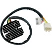 Ρυθμιστής OEM style RICK'S MOTORSPORT ELECTRICS 10-120 thumb