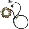 Στάτορας OEM style RICK'S MOTORSPORT ELECTRICS 21-900
