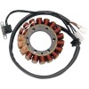 Στάτορας OEM στυλ RICK'S MOTORSPORT ELECTRICS 21-913