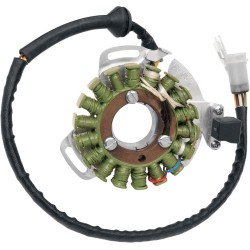 Στάτορας OEM στυλ RICK'S MOTORSPORT ELECTRICS 21-903H