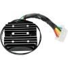 Ρυθμιστής OEM style RICK'S MOTORSPORT ELECTRICS 10-101