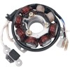 Στάτορας OEM στυλ RICK'S MOTORSPORT ELECTRICS 21-602H