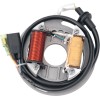 Στάτορας OEM στυλ RICK'S MOTORSPORT ELECTRICS 21-705H
