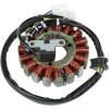 Στάτορας OEM στυλ RICK'S MOTORSPORT ELECTRICS 21-801H
