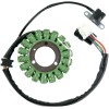 Στάτορας OEM στυλ RICK'S MOTORSPORT ELECTRICS 21-905