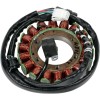 Στάτορας OEM στυλ RICK'S MOTORSPORT ELECTRICS 21-968H